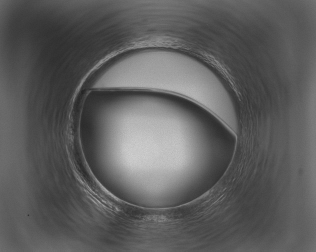 X0000084540392200702230914