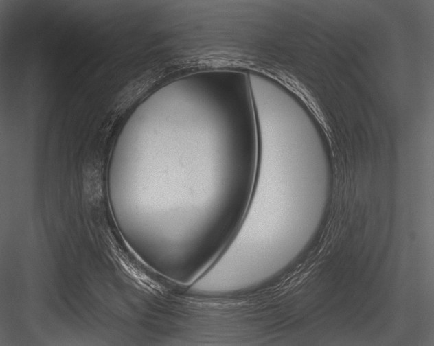 X0000084540393200702230914