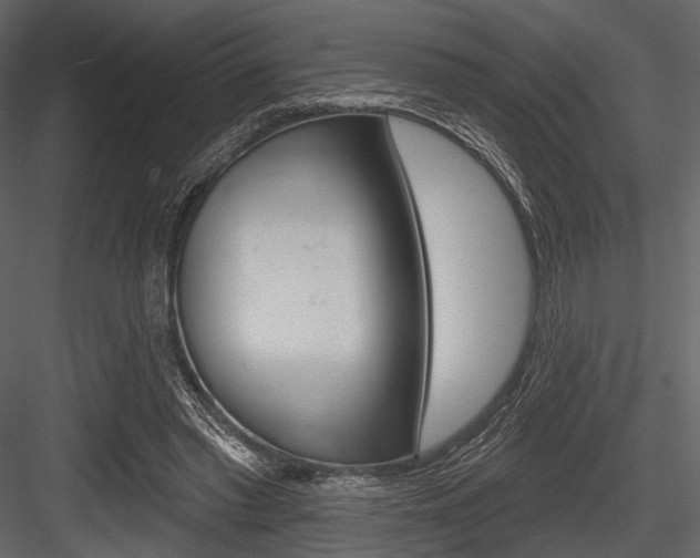 X0000084540397200702230914