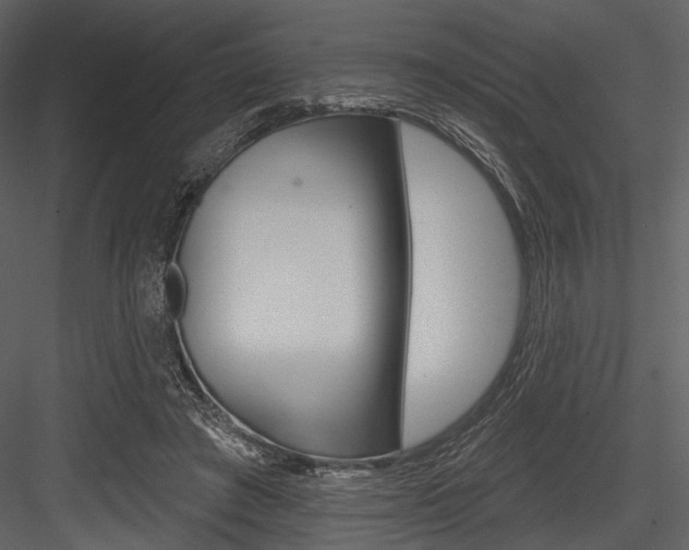X0000084540401200702230914