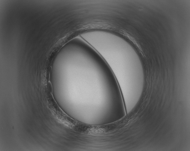 X0000084540403200702230914