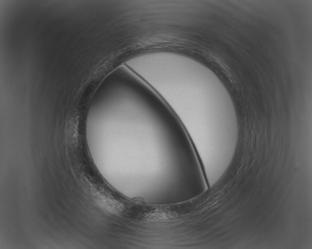 X0000084540404200702230914