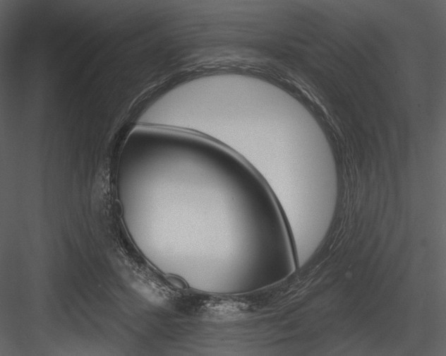 X0000084540407200702230914