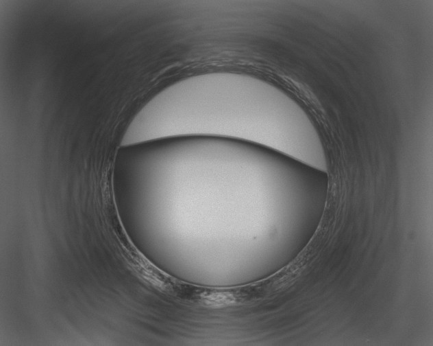 X0000084540409200702230914