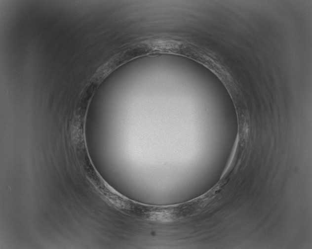 X0000084540411200702230914