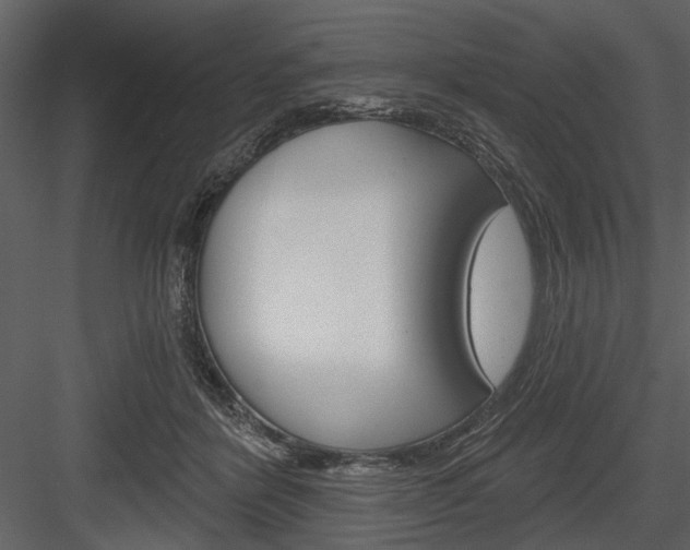 X0000084540412200702230914