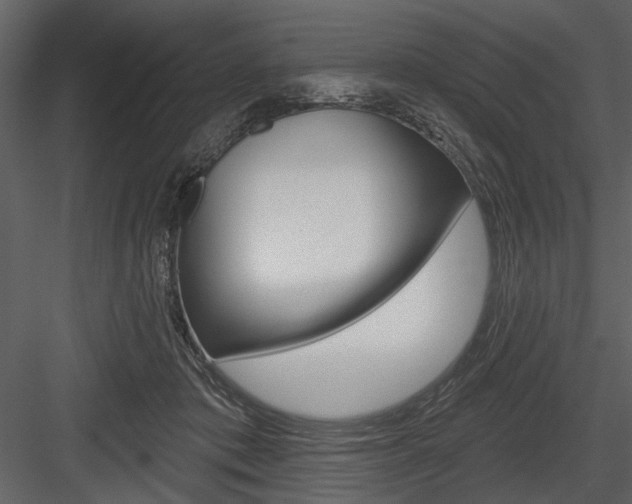 X0000084540413200702230914