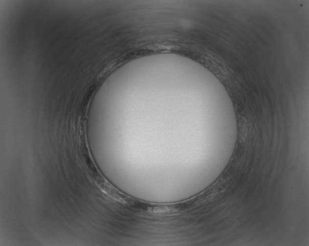 X0000084540414200702230914