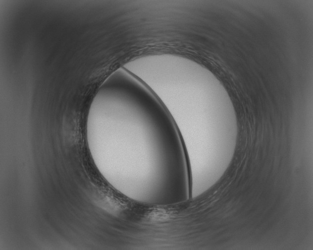 X0000084540416200702230913