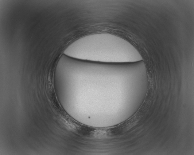 X0000084540418200702230913
