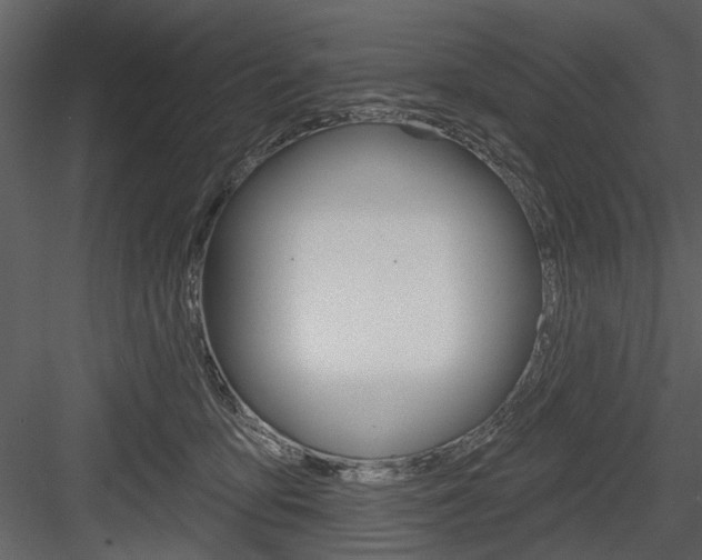 X0000084540419200702230913