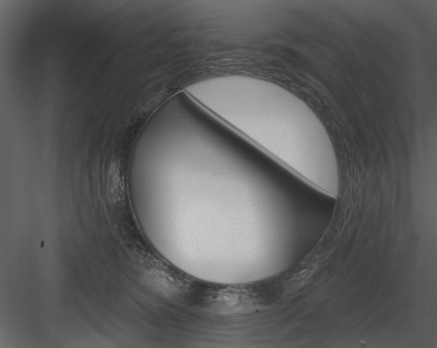 X0000084540420200702230913