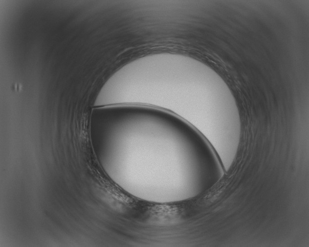 X0000084540421200702230913