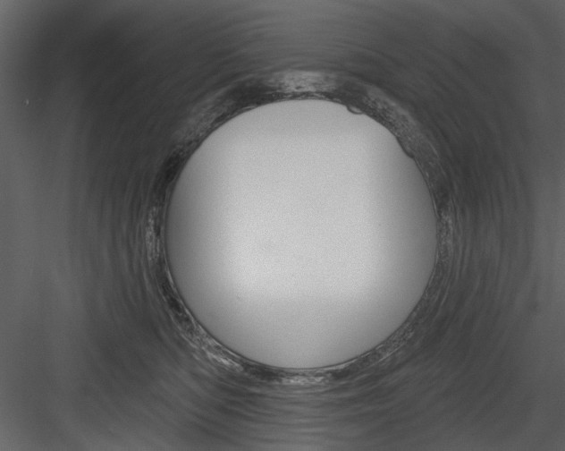 X0000084540422200702230913