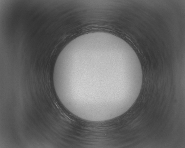 X0000084540423200702230913