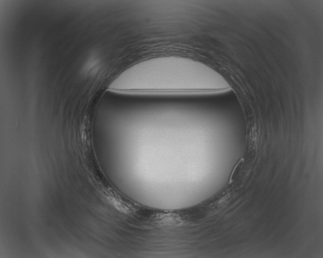 X0000084540424200702230913