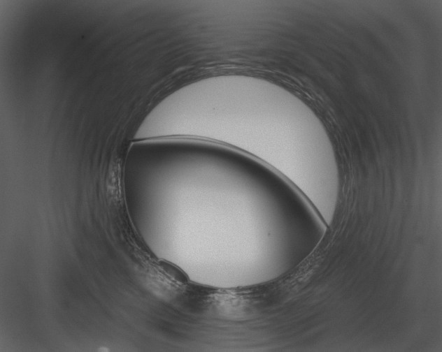 X0000084540425200702230913