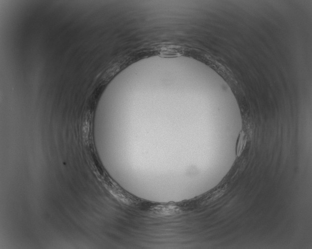 X0000084540427200702230913