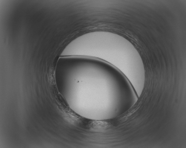X0000084540429200702230913