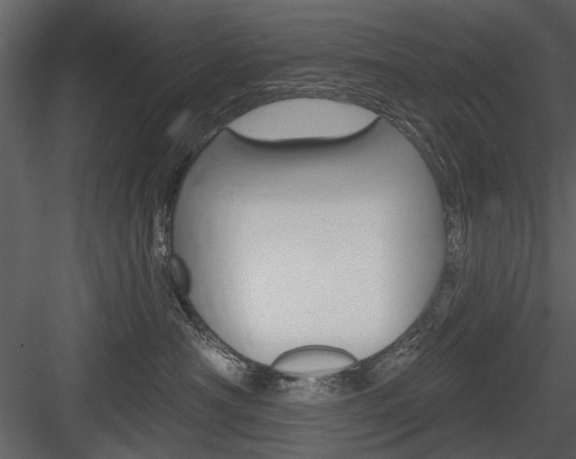 X0000084540430200702230913