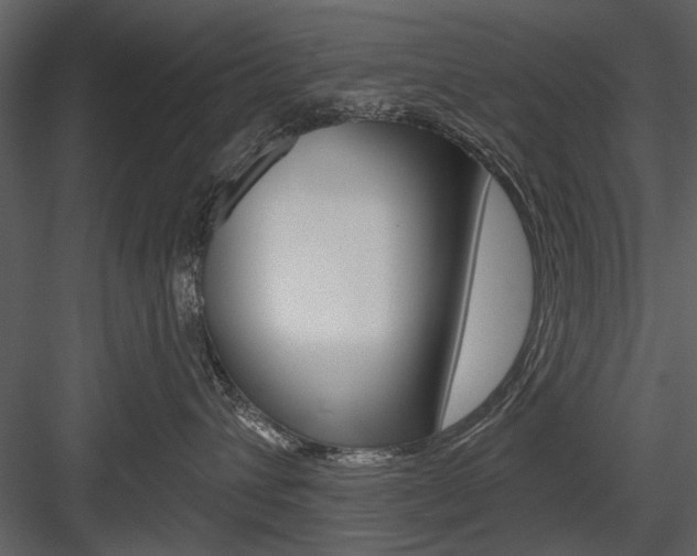 X0000084540432200702230913