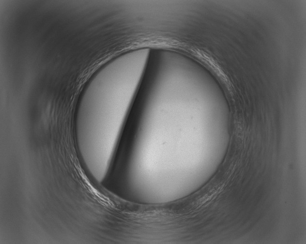 X0000084540433200702230912