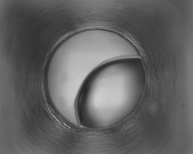 X0000084540434200702230912