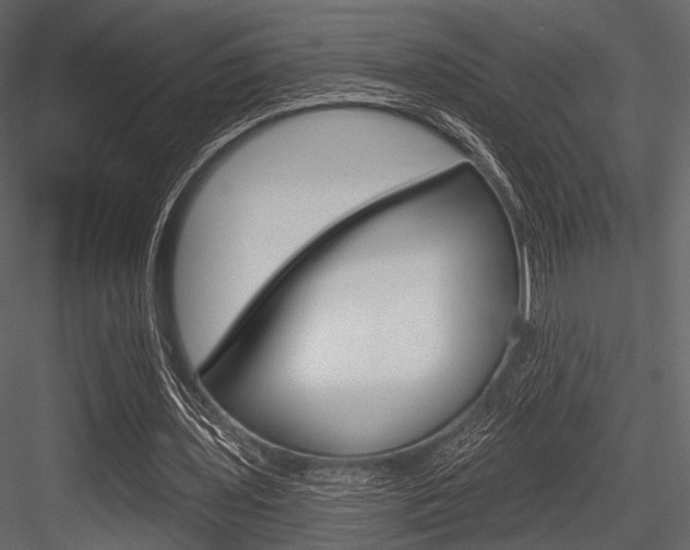 X0000084540435200702230912