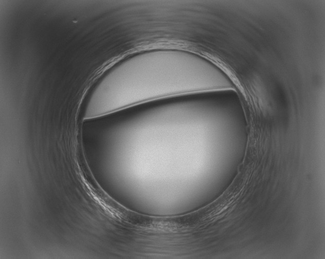 X0000084540437200702230912