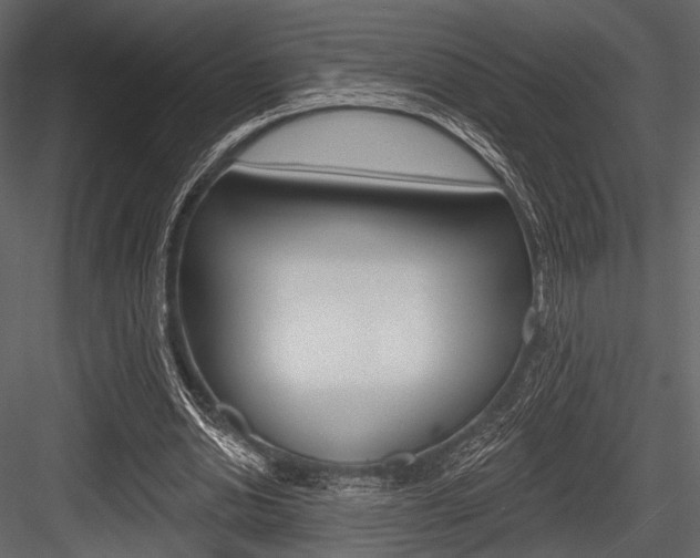 X0000084540438200702230912