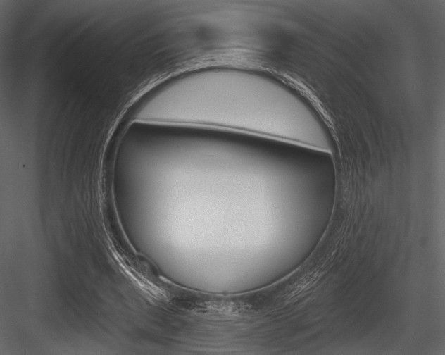 X0000084540439200702230912