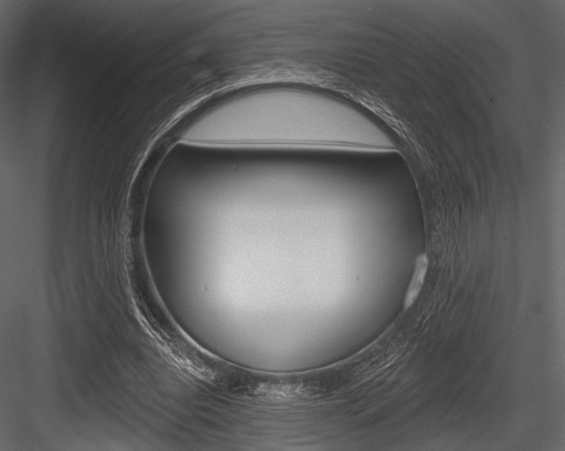 X0000084540440200702230912