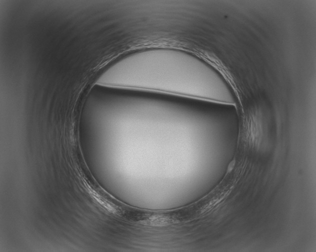 X0000084540441200702230913
