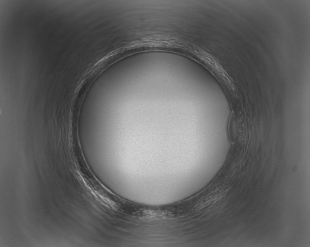X0000084540442200702230913