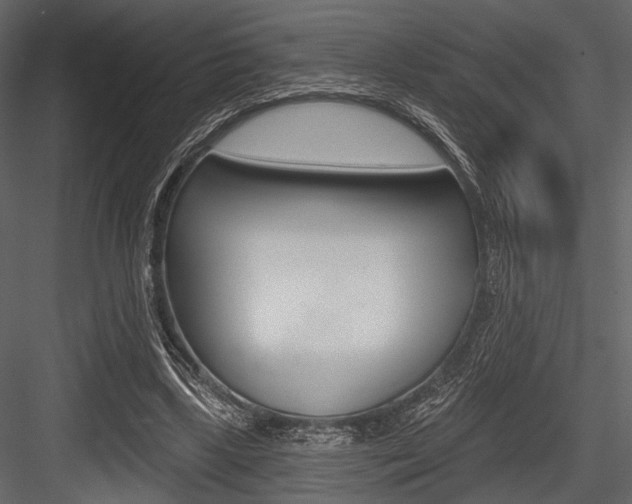 X0000084540443200702230913