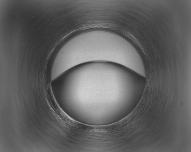 X0000084540444200702230913