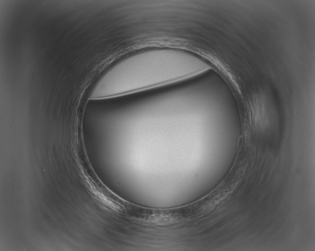 X0000084540445200702230913