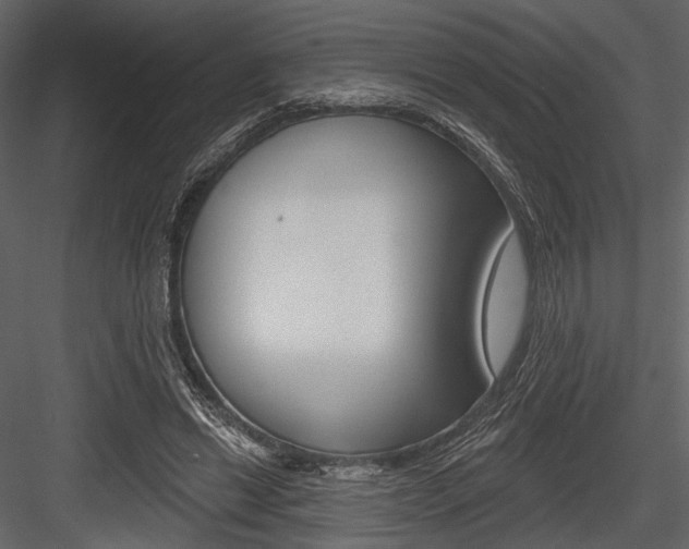 X0000084540446200702230913