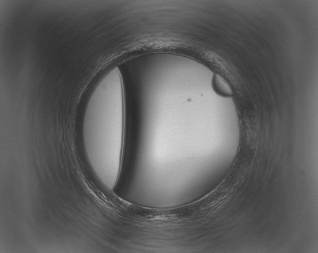 X0000084540447200702230913