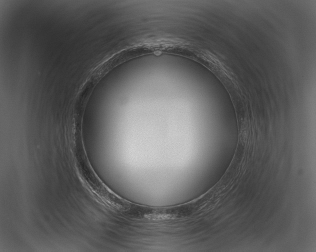 X0000084540448200702230913