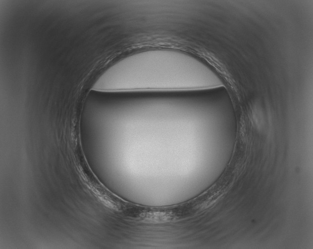 X0000084540449200702230913