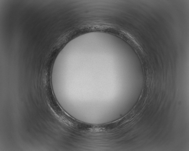 X0000084540451200702230913