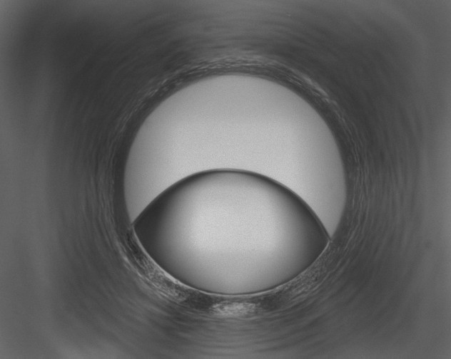 X0000084540452200702230913