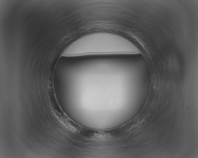 X0000084540455200702230913