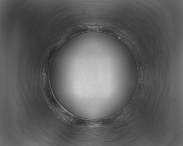X0000084540456200702230913