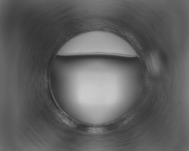 X0000084540457200702230913