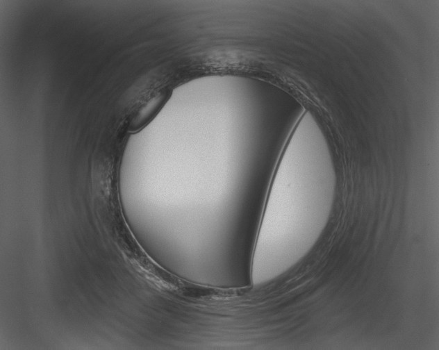 X0000084540458200702230913