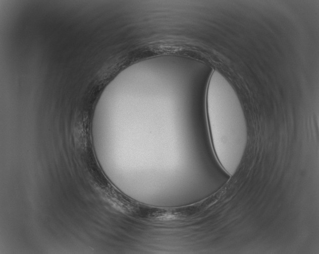 X0000084540460200702230913