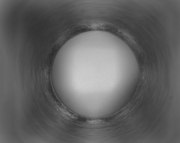 X0000084540461200702230913