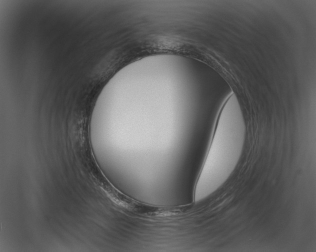 X0000084540462200702230913